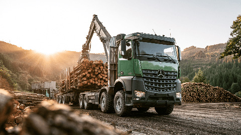 Lkw mit Holz auf der Ladefläche